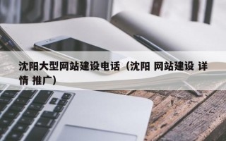 沈阳大型网站建设电话（沈阳 网站建设 详情 推广）